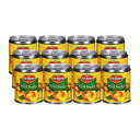 Del Monte XCX̃wr[VbvЂʋlACG[NOA8.5IXA12pbN Del Monte Canned Sliced Peaches in Heavy Syrup, Yellow Cling, 8.5 Oz, Pack of 12