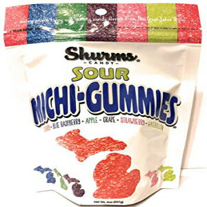 サワーミチグミ Shurms ミシガン形のフルーツフレーバーグミキャンディ - 8 オンスバッグ Sour Michi-Gummies Shurms Michigan Shaped Fruit Flavored Gummy Candy - 8 oz Bag