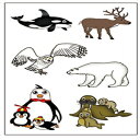 Glomarket㤨֥ץߥ̶˷ưʪΰŪϡѡƥιաȥʥۥå祯ޡեڥ󥮥󡢥 PremiumTT temporary tattoos Premium Arctic Animal Temporary Tattoos, Party Favors: Reindeer, Polar Bear, KillerפβǤʤ1,564ߤˤʤޤ
