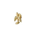 モルト - フロアモルテッドボヘミアンピルスナー - 5ポンドミルド Brewmaster Malt - Floor Malted Bohemian Pilsner - 5 lb Milled