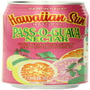 Hawaiian Sun NectarApX I OAoA11.5 IX (24 pbN) Hawaiian Sun Nectar, Pass-O-Guava, 11.5-Ounce (Pack of 24)