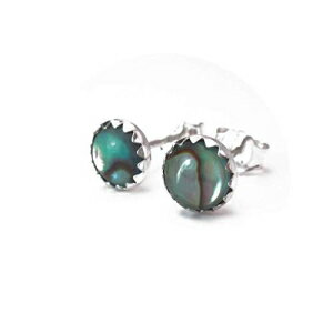 VvȃVo[ArX^bhsAXA6mmArVF|XgsAX Twisted Designs Jewelry Simple Silver Abalone Stud Earrings, Small 6mm Abalone Shell Post Earrings