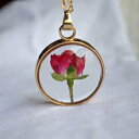 bh[YAt[t[eBOPbgK18S[hbL`F[OlbNX XDesign Red Rose Real Flowers Floating Locket 18k Gold Plated Chain Long Necklace
