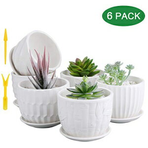 ~jZ~bNv^[ABrajttt 4C`V_[Z~bNAؔAڑ󂯎MtAAƃgXl[Nv^[pv^[ (6pbNAzCg) Mini Ceramic Planters, Brajttt 4 Inch Cylinder Ceramic Plant Pots with Connected Sauc