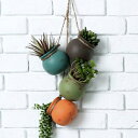 Mygift Ԃ牺쐼J[Z~bN 4 |bgZbgAǂ܂͓V}Eg݂艺~jt[v^[ MyGift Dangling Southwest Desert Color Ceramic 4 Pot Set, Wall or Ceiling Mount Hanging Mini Flower Planters