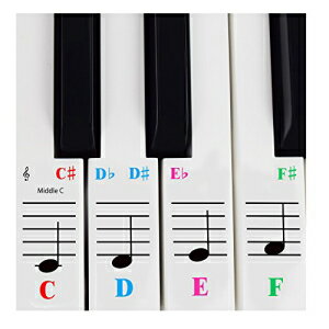 ピアノステッカー 61 鍵盤白鍵用 - 透明で取り外し可能 - 米国製 Piano Sticker for 61 Key Keyboards White Keys – Transparent and Removable-Made in USA