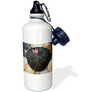 3dRose EH[^[{gA21IXAzCg 3dRose Water Bottle, 21oz, White