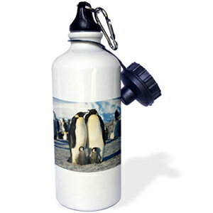 3dRose AntarcticaAEB^[X|[cEH[^[{g̍cyM̌QA21IX (wb_207364_1)A}`J[ 3dRose Antarctica, Herd of Emperor Penguins in winter-Sports Water Bottle, 21oz (wb_207364_1), Multicolored