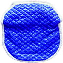 Tadpolesキルティングナイロンベビーカーカバー、ロイヤルブルー Tadpoles Quilted Nylon Stroller Cover, Royal Blue