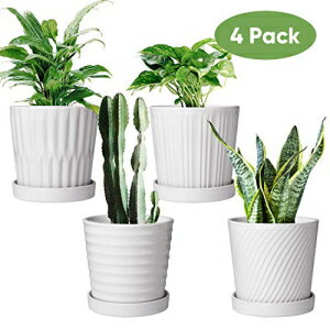 t[|bgA6C`̑A|bgArtApEhv^[|bgA󂯎MtAT{ev^[AtAOpOf|bg4pbN Flower Pots,6 Inch Succulent Pots with Drinage,Indoor Round Planter Pots with Sauc