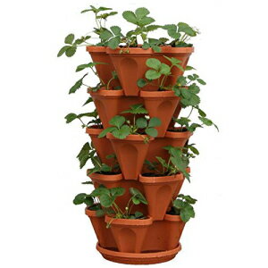 Mr.X^bL[ 5iXgx[v^[|bg 5|bg Mr. Stacky 5-Tier Strawberry Planter Pot, 5 Pots