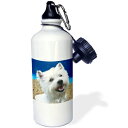 3dRose wb_4438_1シベリアンハスキースポーツウォーターボトル、21オンス、ホワイト 3dRose wb_4438_1 Siberian Husky Sports Water Bottle, 21 oz, White