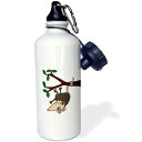 3dRose Funny Possum Hanging from Tree Cartoon-Sports ウォーターボトル 21 オンス (wb_196269_1) 21 オンス マルチカラー 3dRose Funny Possum Hanging from Tree Cartoon-Sports Water Bottle, 21oz (wb_196269_1), 21 oz, Multicolor