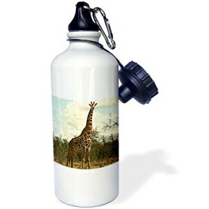 3dRose wb_678_1 Wt X|[c EH[^[{gA21 IXAzCg 3dRose wb_678_1 Giraffe Sports Water Bottle, 21 oz, White