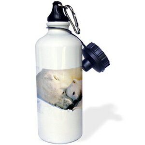 3dRose wb_517_1 X^[O VxA nXL[ X|[c EH[^[{gA21 IXAzCg 3dRose wb_517_1 Staring Siberian Husky Sports Water Bottle, 21 oz, White