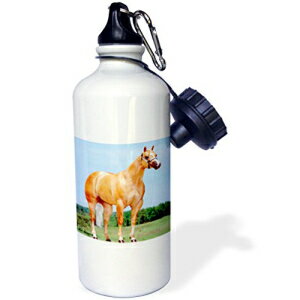 3dRose wb_673_1 p~m NH[^[z[X X|[c EH[^[{gA21 IXAzCg 3dRose wb_673_1 Palomino Quarter Horse Sports Water Bottle, 21 oz, White