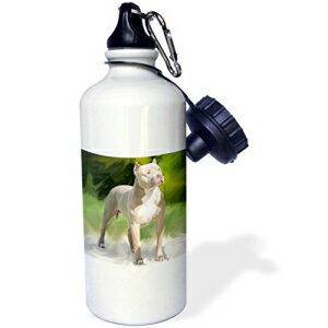 3dRose wb_4242_1 ` X|[c EH[^[{gA21 IXAzCg 3dRose wb_4242_1 Japanese Chin Sports Water Bottle, 21 oz, White