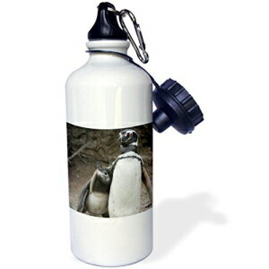 3dRose wb_10583_1 zzWU X|[c EH[^[{gA21 IXAzCg 3dRose wb_10583_1 Great White Shark Sports Water Bottle, 21 oz, White