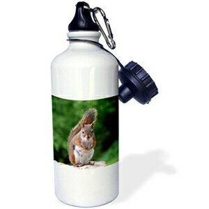 3dRose wb_22427_1 Red Squirrel with Attitude スポーツ ウォーターボトル、21 オンス、ホワイト 3dRose wb_22427_1 Red Squirrel with Attitude Sports Water Bottle, 21 oz, White