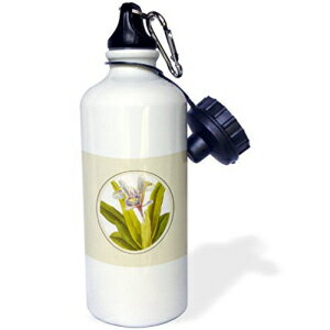 3dRose wb_47246_1 Serenity Prayer-Butterfly p[v A[g X|[c EH[^[{gA21 IXAzCg 3dRose wb_47246_1 Serenity Prayer-Butterfly Purple Art Sports Water Bottle, 21 oz, White