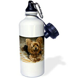 3dRose `ʂ̂邩킢[NV[ eA - X|[c EH[^[ {gA21 IX (wb_201113_1)A21 IXA}`J[ 3dRose Cute Yorkshire Terrier Dog with a Drawing Effect-Sports Water Bottle, 21oz (wb_201113_1),