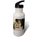 3dRosewb_300242_2ウォーターボトル21オンスホワイト 3dRose wb_300242_2 Water Bottle 21oz White