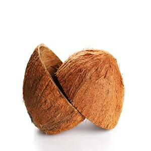 ココナッツの殻の半分 2 個 KC Creation Two Coconut Shell Halves KC Creation
