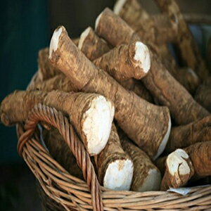 Country Creek Horseradish Root, 2 pounds (Sold by Weight). Great for Planting, Seasoning or Sauces. A taste delight.