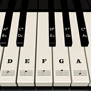 キー用ピアノステッカー - ホワイト&ブラックピアノキーボードステッカー 37/49/54/61/88用 - 数字入りで取り外し可能、跡が残らない、ユーザーガイド、初心者に最適 Piano Stickers for Keys - White & Black Piano Keyboard Stickers For 37/49/54/61/