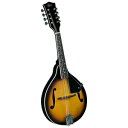 [o[ RM-25 X`[fg A f }h - To[Xg Rover RM-25 Student A-model Mandolin - Sunburst