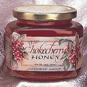 Ch`[N`F[nj[A11IX Taste the Wilderness Wild Chokecherry Honey, 11oz