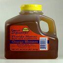 Sweet Squeeze Raw and Unfiltered Orange Blossom Honey-t_̗{IƂA48IX Buzzn Bee Sweet Squeeze Raw and Unfiltered Orange Blossom Honey - From Floridas Beekeepers, 48 Ounce