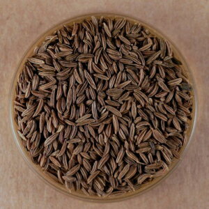 Wholespice Caraway Seed - Whole - 4 OZ