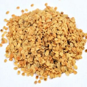 ץåȥꥢɡʥȡ500g Jalpur Split Coriander Seeds (roasted) 500g