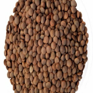 有機茶色レンズ豆 - 24.948ポンド ORGANIC BROWN LENTILS- 24.948lb