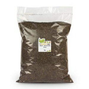 Buy Whole Foods Mint - Pesticide Free (1kg)