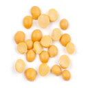 L@GhE-10|h D'allesandro Organic Split Yellow Peas - 10 Lb