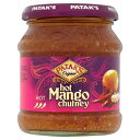 p^Ñzbg}S[`cli340gj-2pbN Patak's Hot Mango Chutney (340g) - Pack of 2