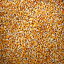 4ポンドの非GMO全粒飼料トウモロコシ-米国製 CZ Grain 4 Pounds Non-GMO Whole Kernel Feed Corn - Made in USA