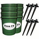 Tree IV IWi [gV[J[UVXe Vؗp 6 pbN Tree I.V. Original Root Seeker Watering System for New Trees 6-pk