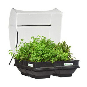 Vegepod - CYhK[fxbh - یJo[tReiK[fLbgA̍܂ŊȒPɏ㏸A10Nۏ (AVegepod) Vegepod - Raised Garden Bed - Self Watering Container Garden Kit with Protective Cover, Easily Elevated