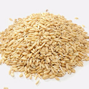 殻付きエンバク穀物 - 49.896ポンド OAT GROATS HULLED- 49.896lb