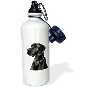 3dRose wb_1054_1 ubN O[gf[ X|[c EH[^[ {gA21 IXAzCg 3dRose wb_1054_1 Black Great Dane Sports Water Bottle, 21 oz, White