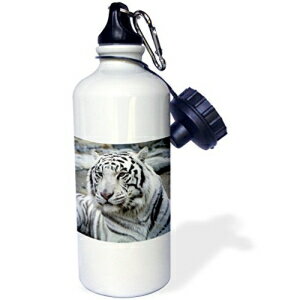 3dRose wb_345_1 zCg ^CK[ X|[c EH[^[{gA21 IXAzCg 3dRose wb_345_1 White Tiger Sports Water Bottle, 21 oz, White