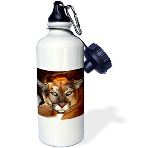 3dRose wb_3347_1 Wolf X|[c EH[^[{gA21 IXAzCg 3dRose wb_3347_1 Wolf Sports Water Bottle, 21 oz, White