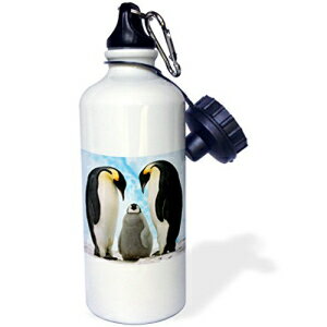 3dRose wb_4181_1 xr[ yM X|[c EH[^[ {gA21 IXAzCg 3dRose wb_4181_1 Baby Penguin Sports Water Bottle, 21 oz, White