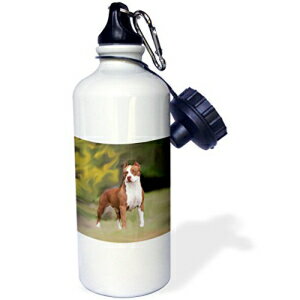 3dRose wb_4240_1 AJ sbg u eAqX|[c EH[^[ {gA21 IXAzCg 3dRose wb_4240_1 American Pit Bull Terrier Puppy Sports Water Bottle, 21 oz, White
