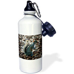 3dRose wb_1019_1 Ib^[ X|[c EH[^[{gA21 IXAzCg 3dRose wb_1019_1 Otter Sports Water Bottle, 21 oz, White