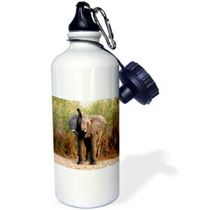 3dRose wb_995_1 mEF[W GNnEh X|[c EH[^[{gA21 IXAzCg 3dRose wb_995_1 Norwegian Elkhound Sports Water Bottle, 21 oz, White