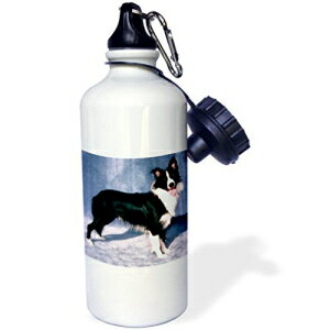 3dRose wb_1258_1 Fun Clown X|[c EH[^[{gA21 IXAzCg 3dRose wb_1258_1 Fun Clown Sports Water Bottle, 21 oz, White